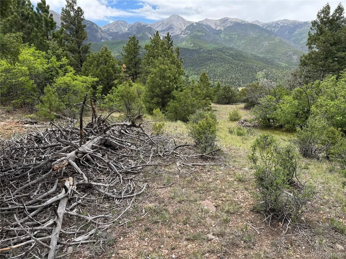 Photo of Knotty Pine Rd