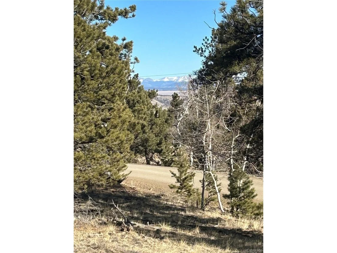 Photo of 3430 Singletree Rd