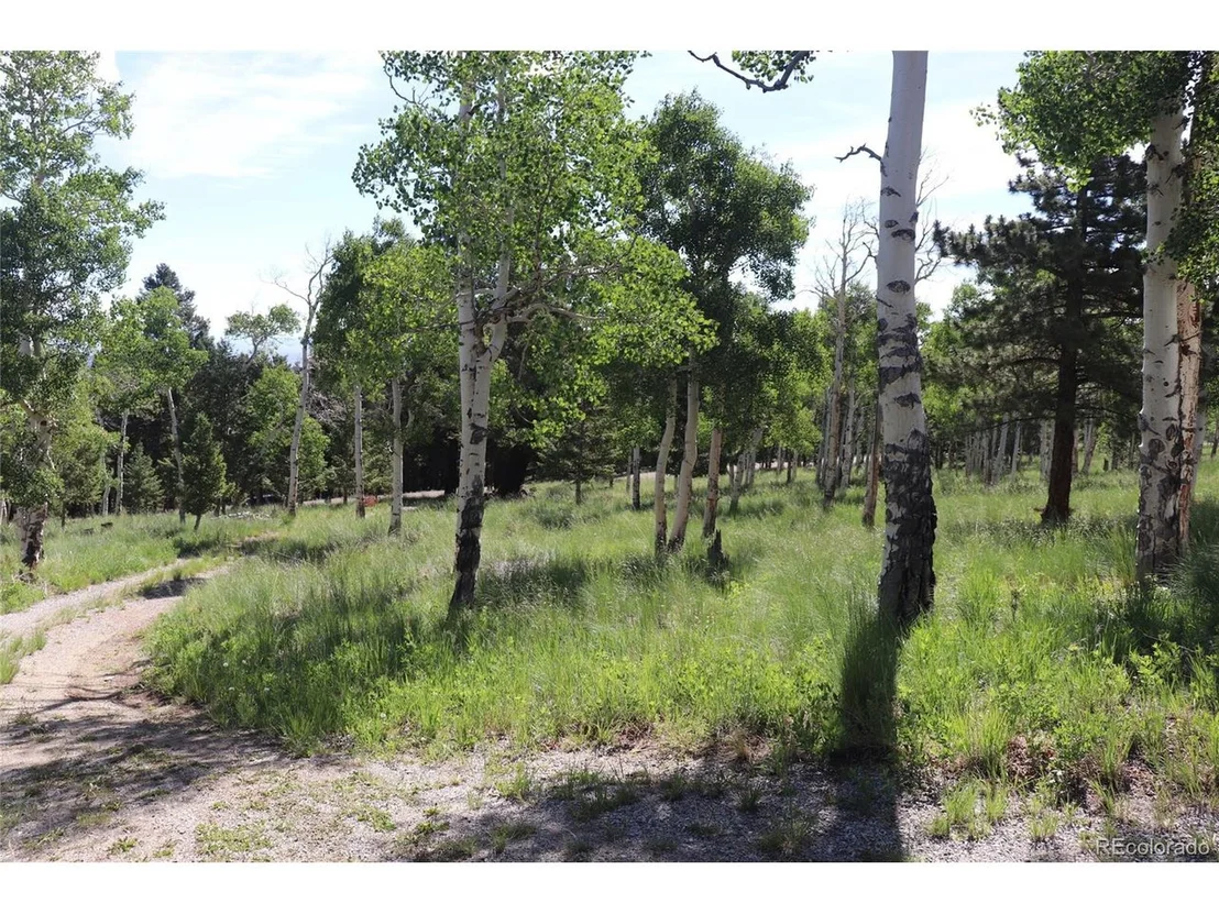 Photo of 1979 Pitchfork Rd