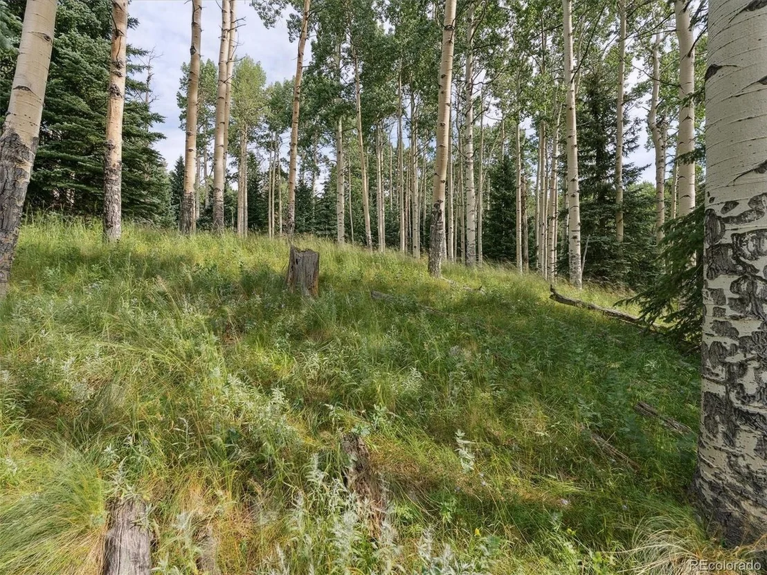 Photo of 0 Snyder Mountain Rd