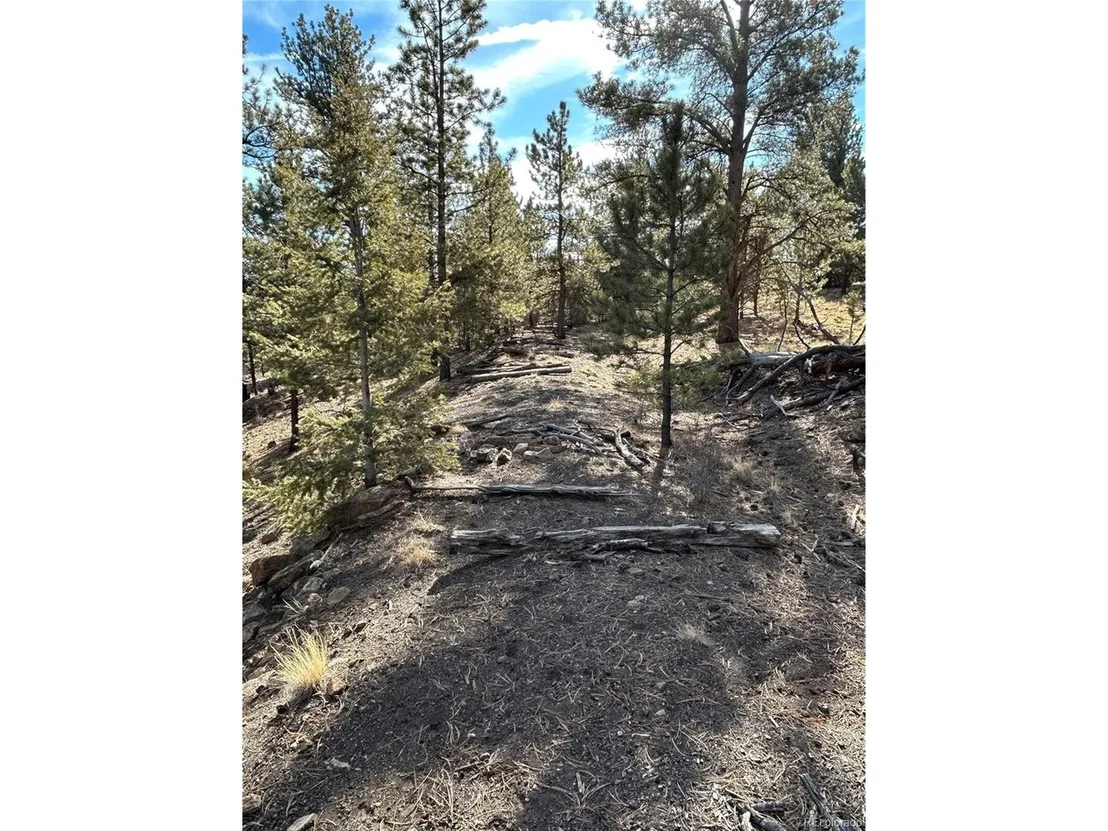 Photo of 4376 Campfire Rd