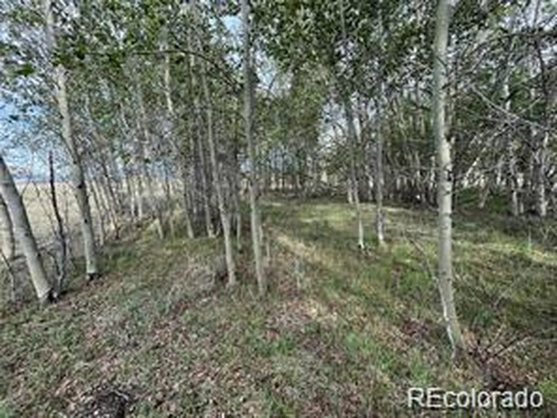 Photo of 1599 Campfire Rd