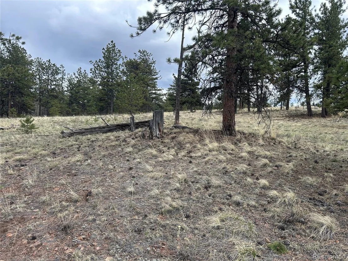 Photo of 97 Chap Way