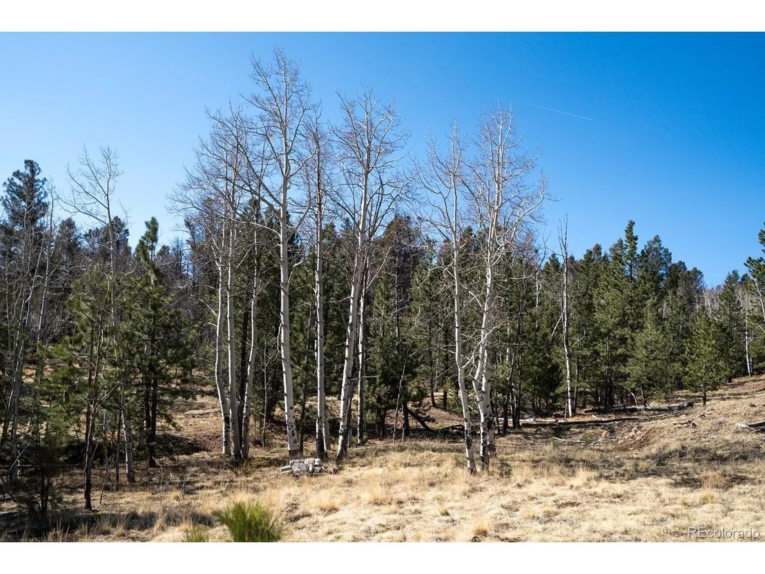 Photo of 1657 Windmill Dr