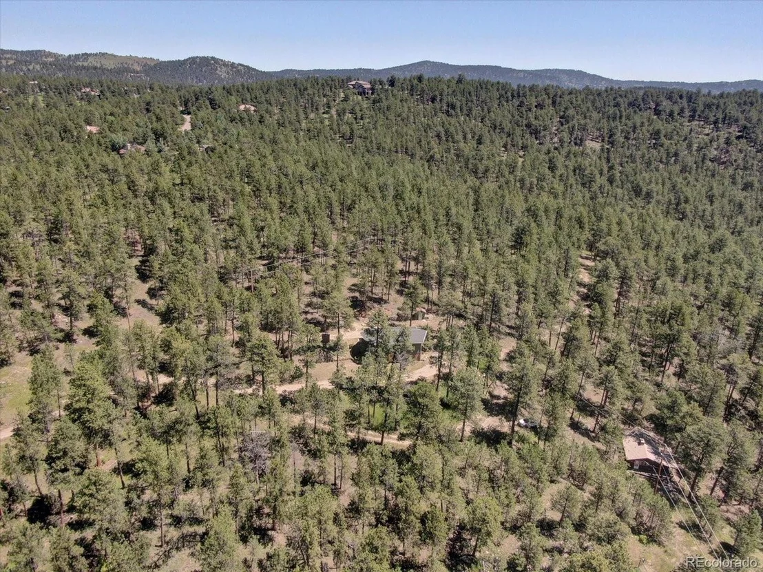 Photo of 29577 Larkspur