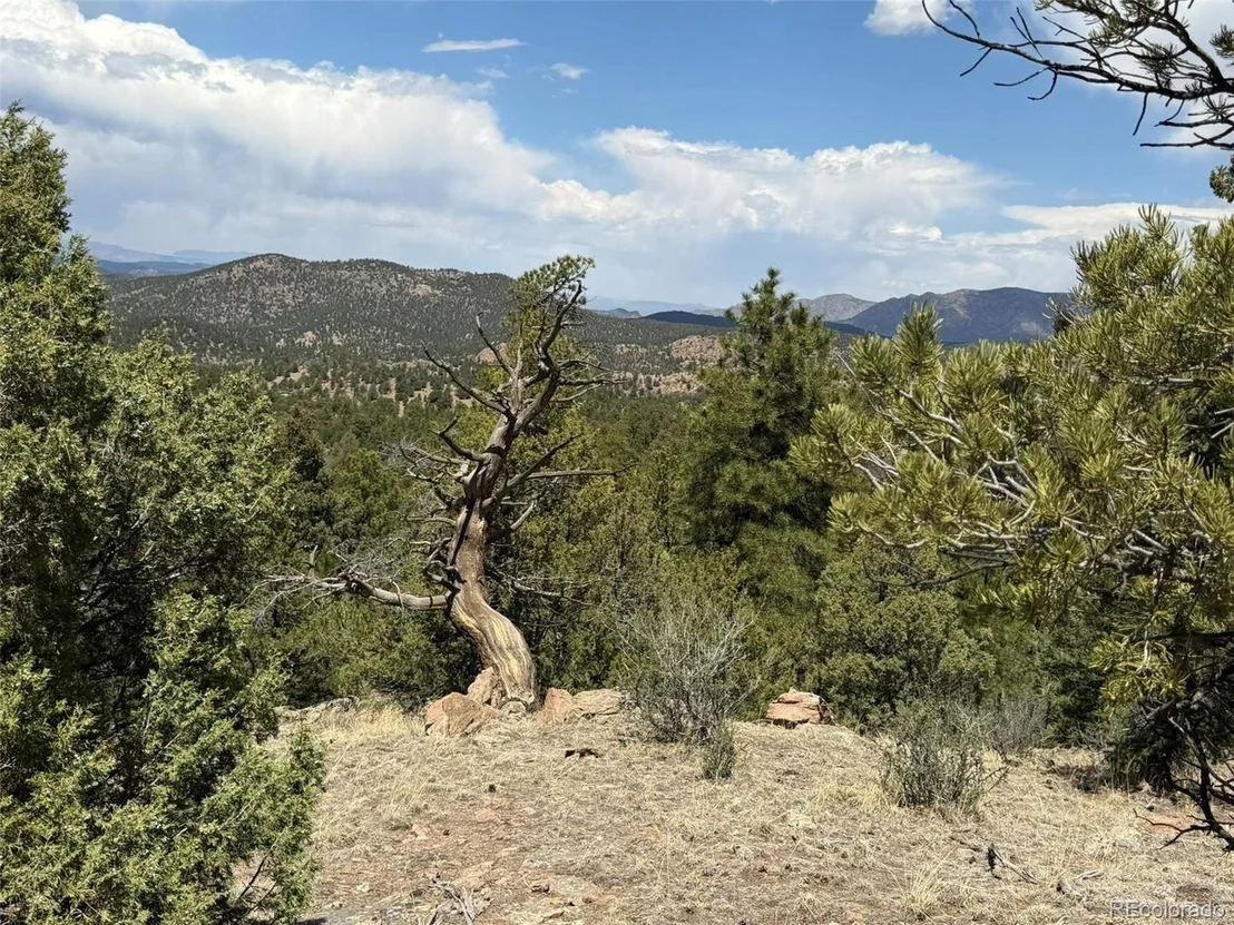 Photo of 477 Bear Peak Rd