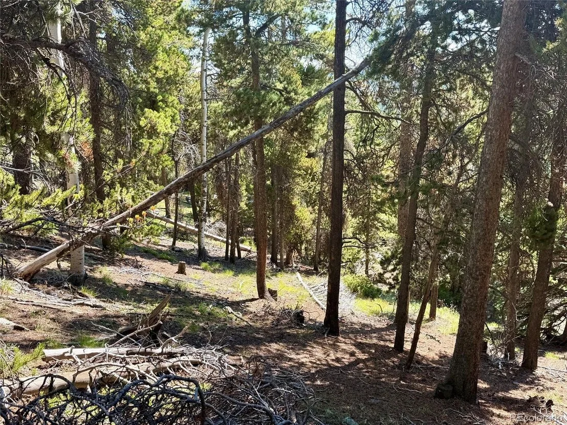Photo of 0 Lodgepole Cir