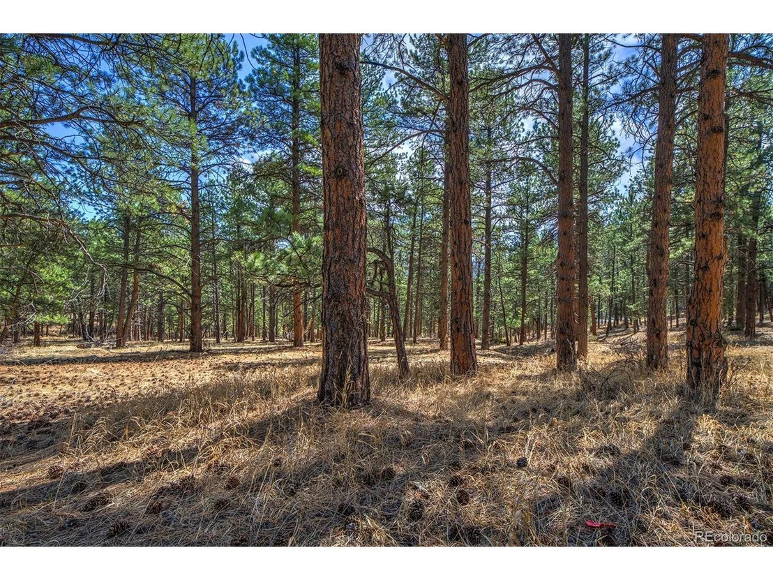 Photo of 27554 Pine Valley Dr