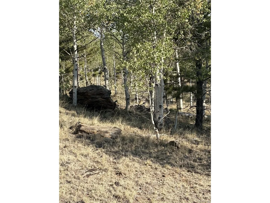Photo of 3031 Mcdowell Dr