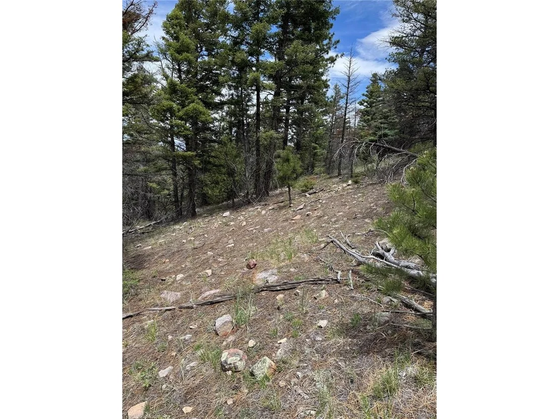 Photo of Knotty Pine Rd