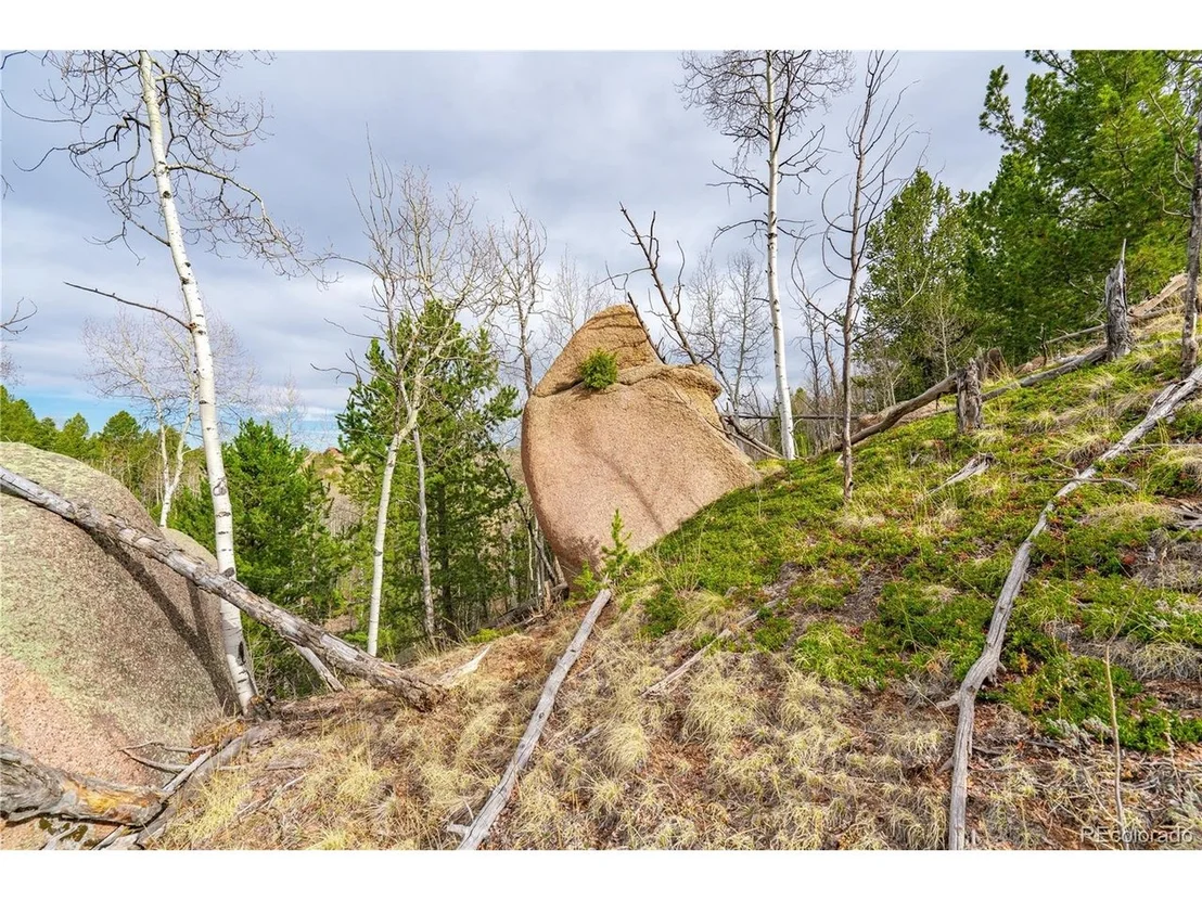 Photo of 130 Grey Eagle Way