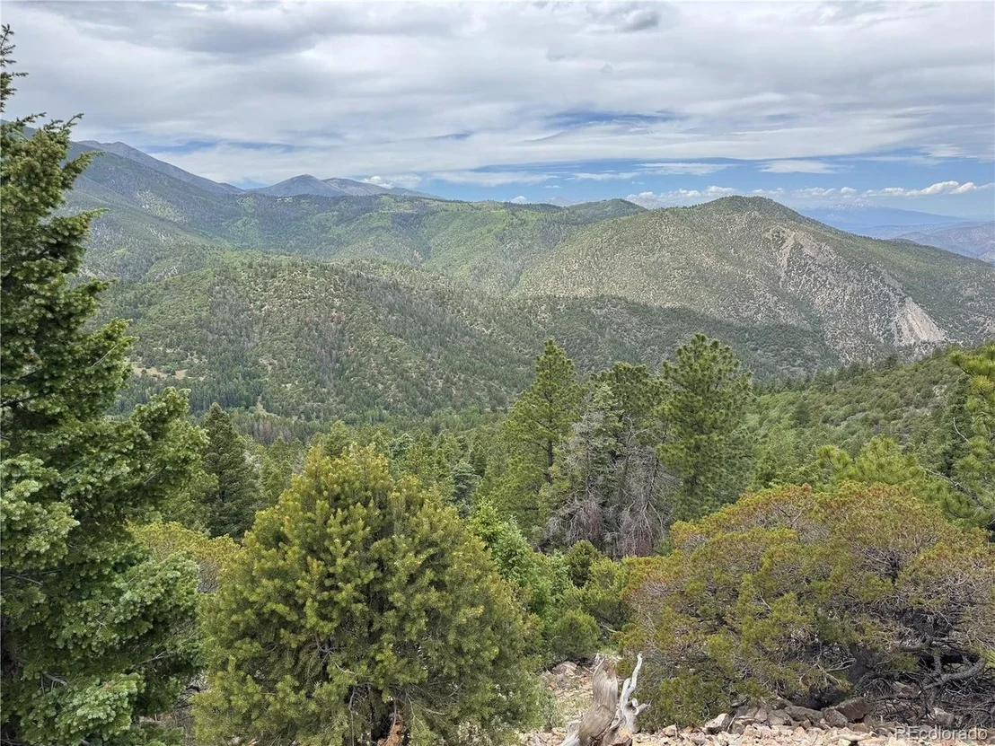 Photo of Knotty Pine Rd