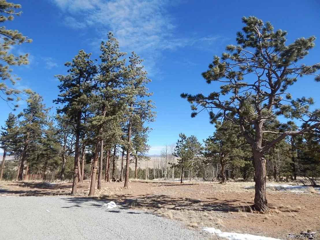 Photo of 892 Wagon Wheel Road