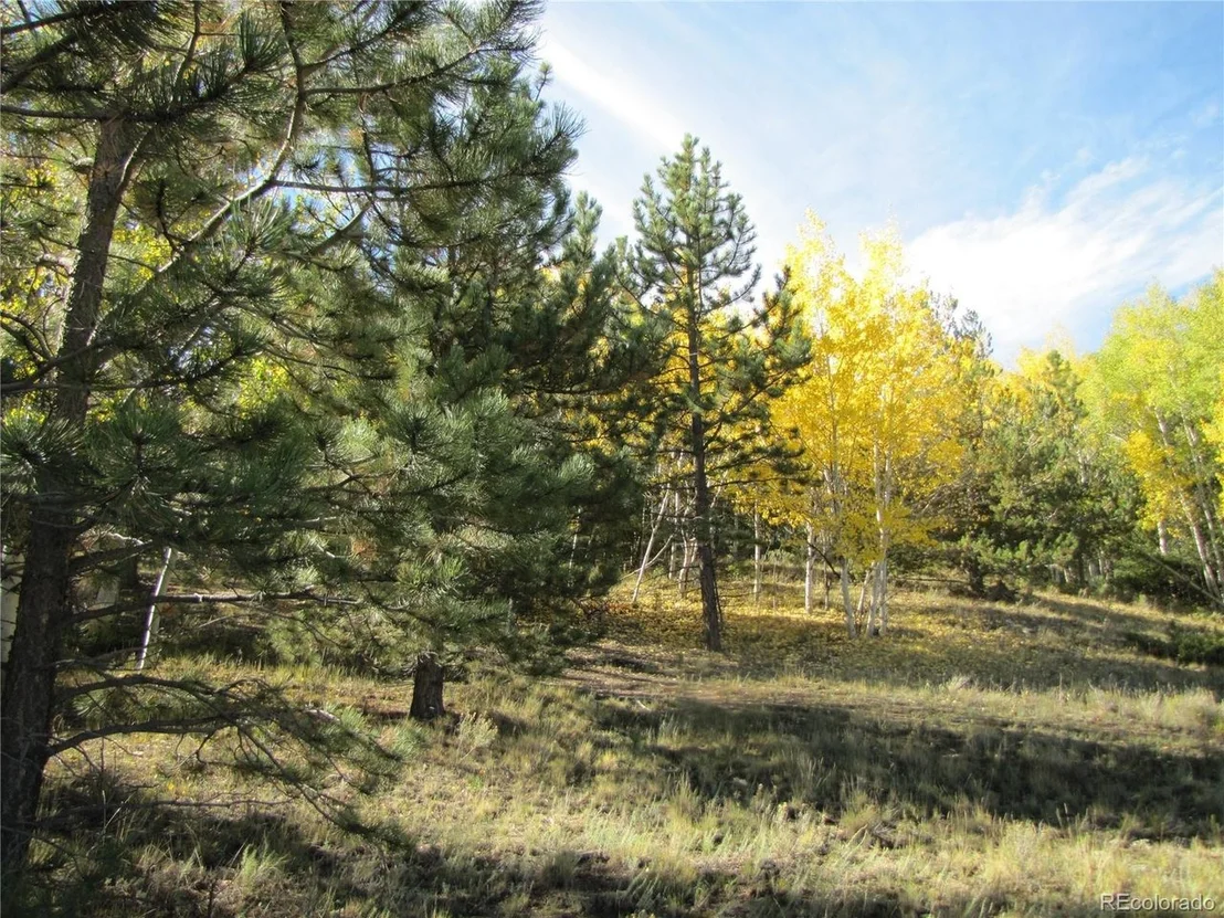 Photo of 699 Campfire Rd
