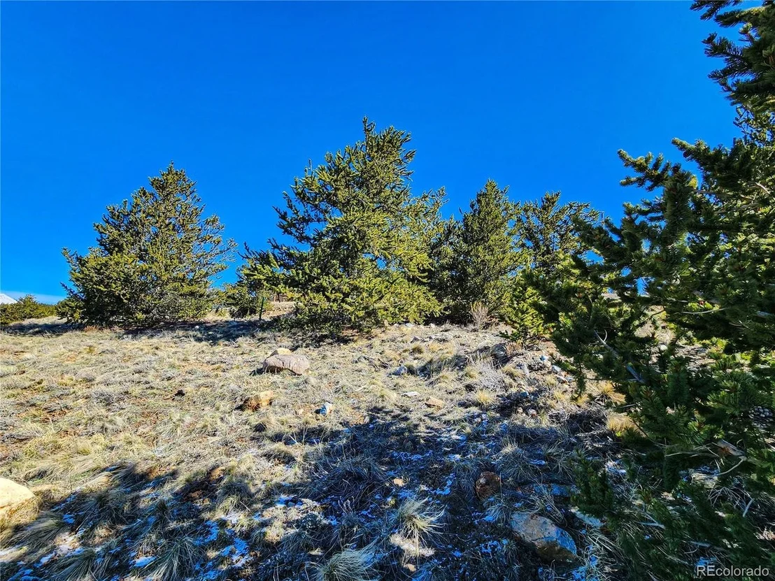 Photo of 39 Platte View Dr