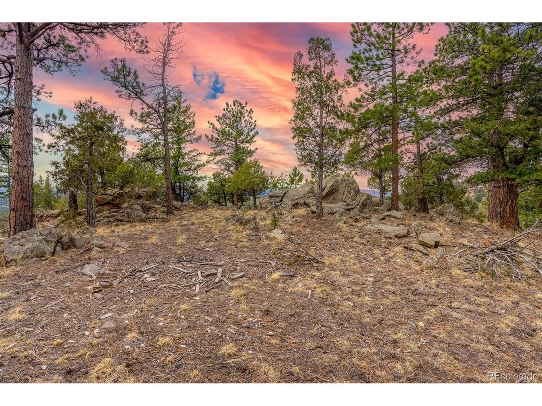 Photo of 43 Doe Cir