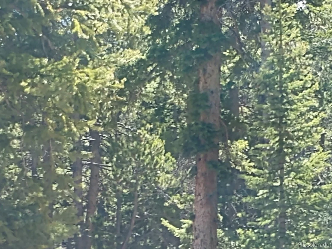 Photo of 710 Kootchie Kootchie Rd