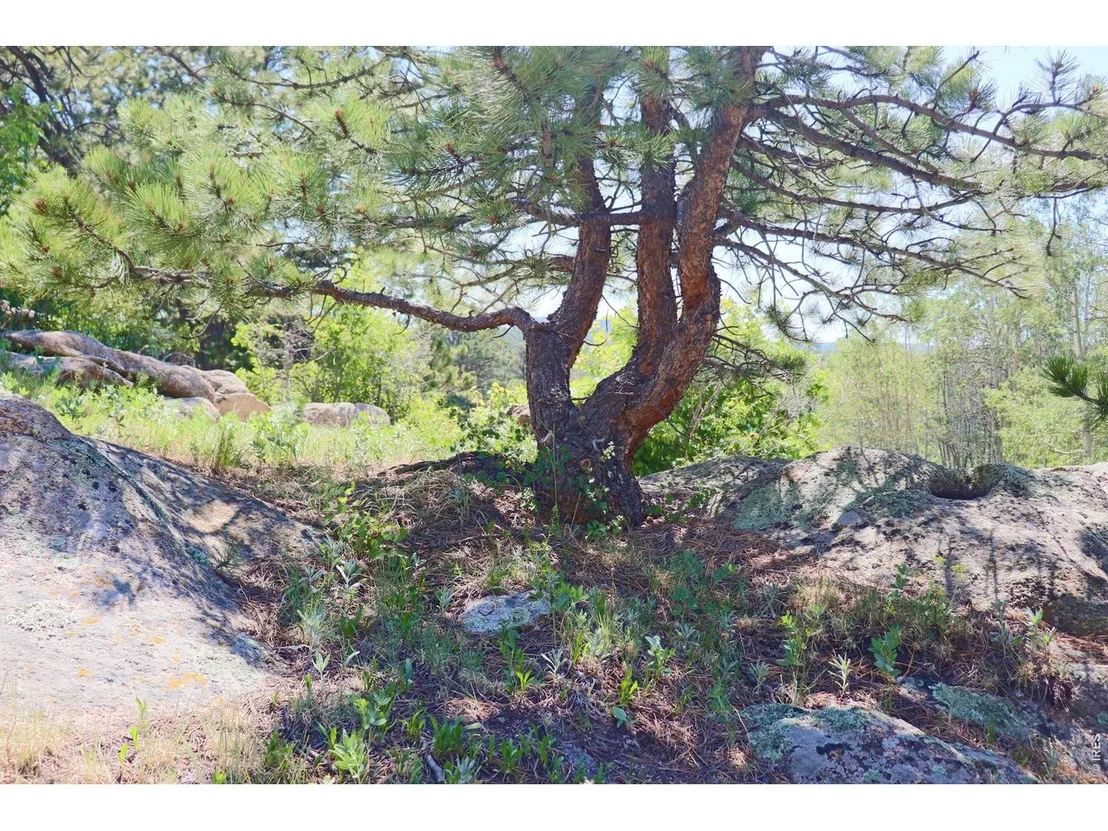 Photo of 636 Ranch Rd