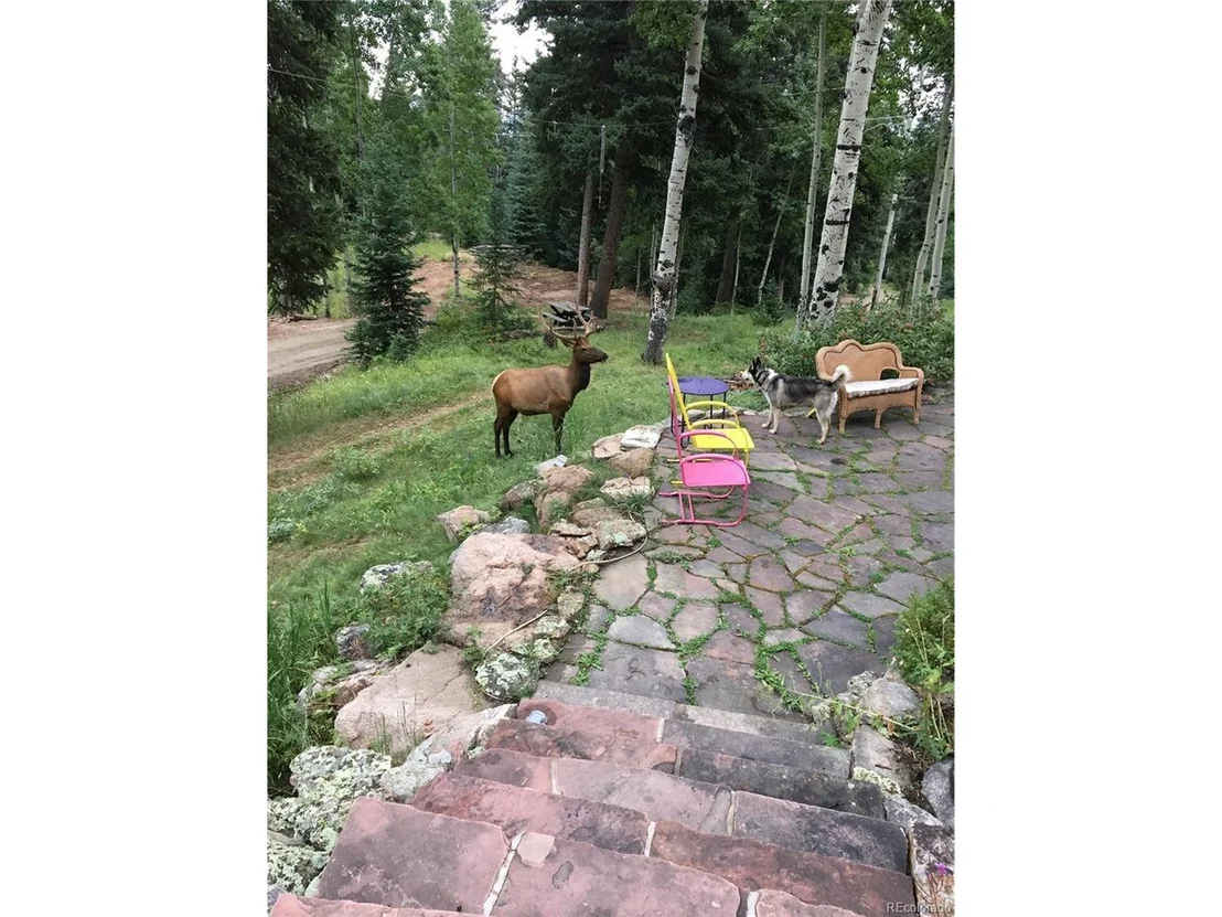 Photo of 29788 Barney Brook Dr