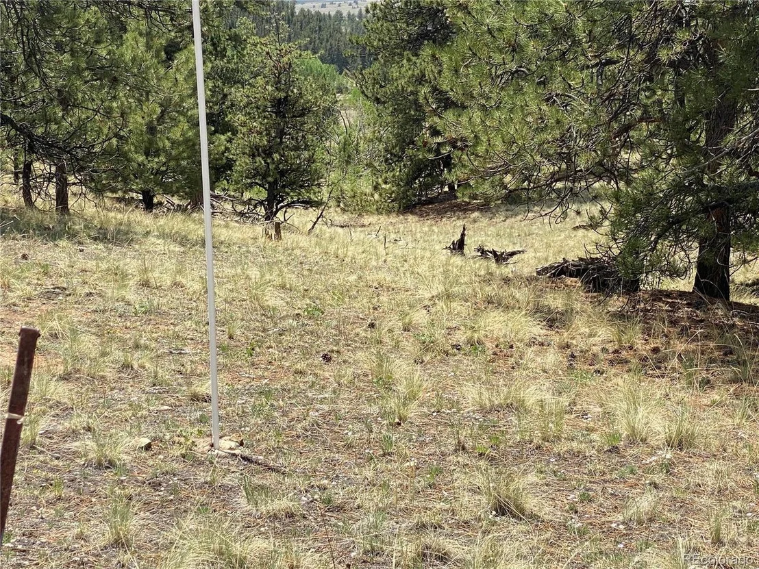 Photo of 73 Rams Run