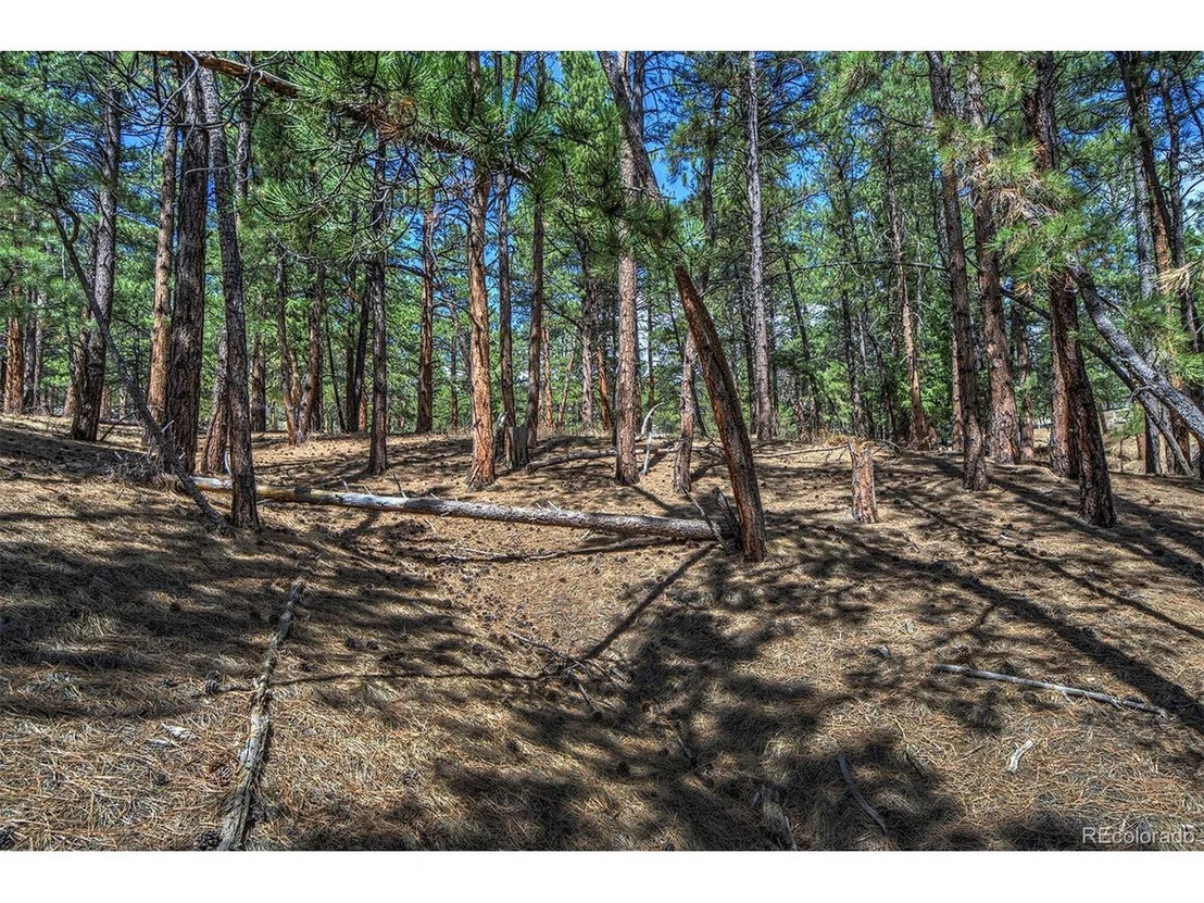 Photo of 27554 Pine Valley Dr