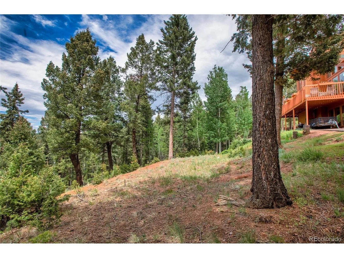 Photo of 183 Candle Lake Dr