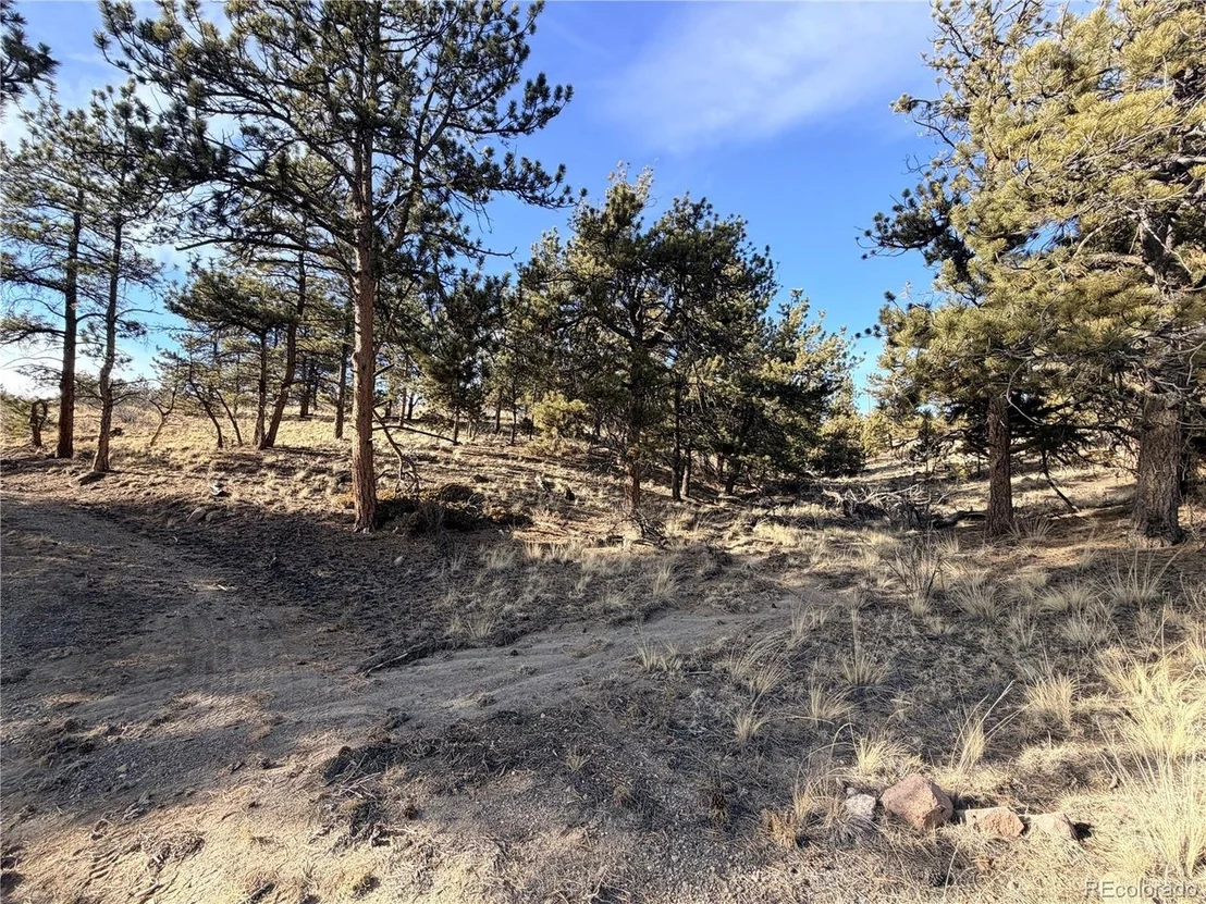 Photo of 729 Bridle Path
