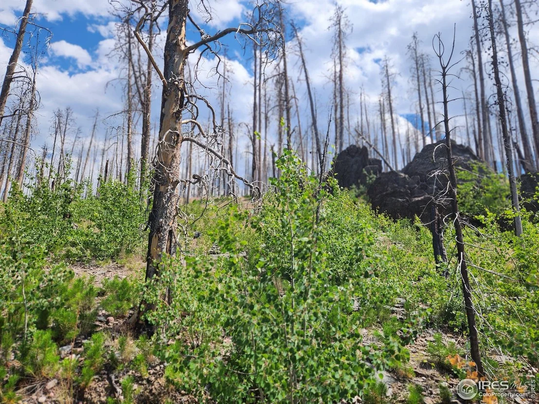 Photo of 963 Crystal Mountain Rd