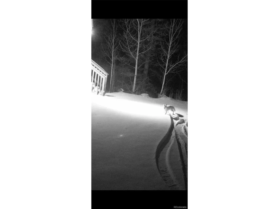 Photo of 24500 County Road 162