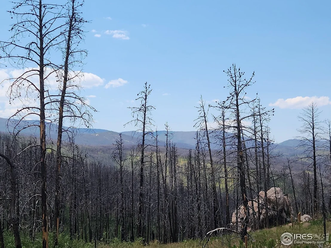 Photo of 963 Crystal Mountain Rd
