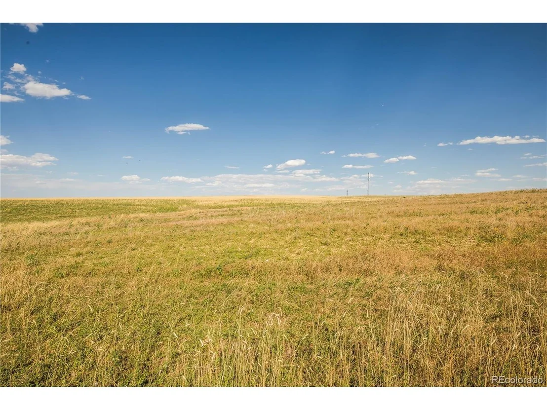Photo of 13880 Cavanaugh Rd