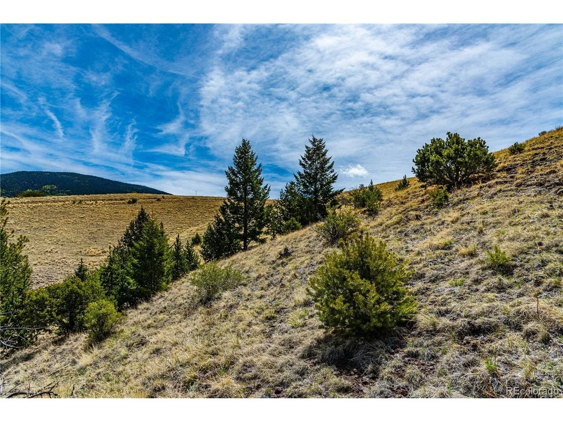 Photo of 1282 County Road 169a
