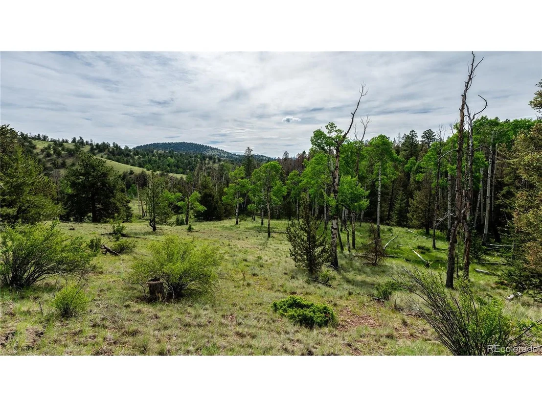 Photo of 5 Elk Height Ln