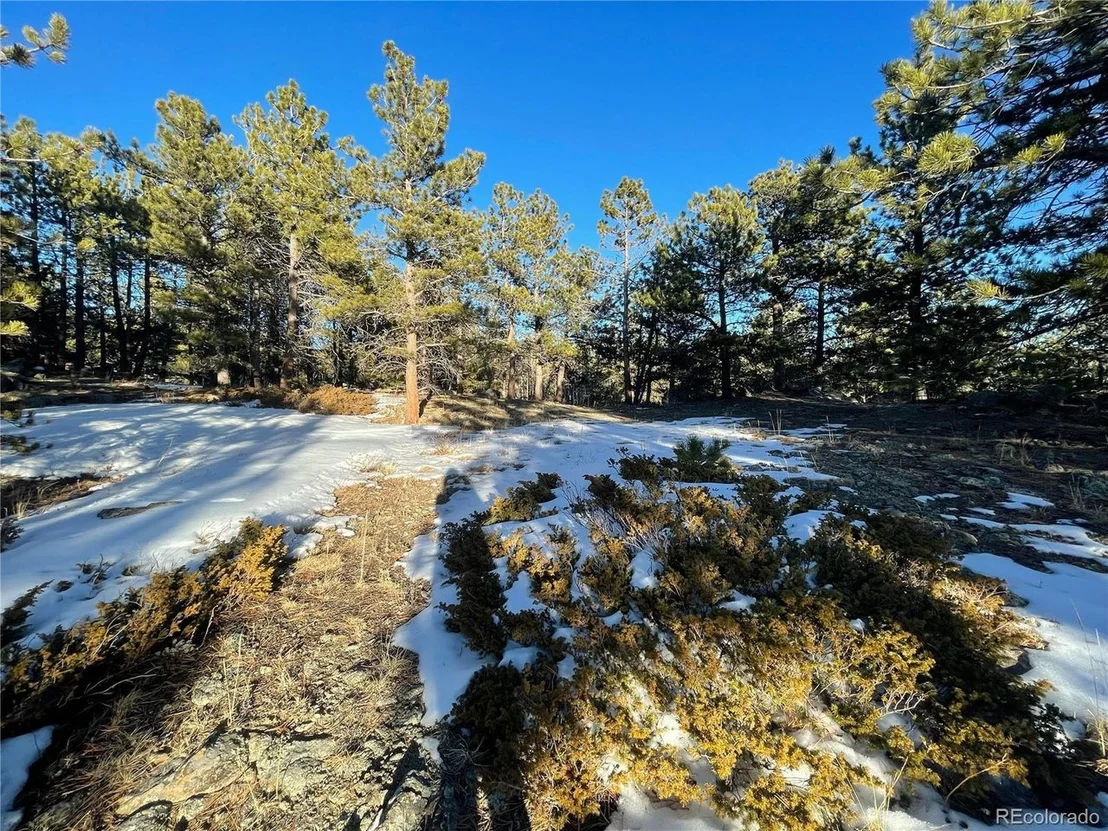 Photo of 275 Bigbee High Rd