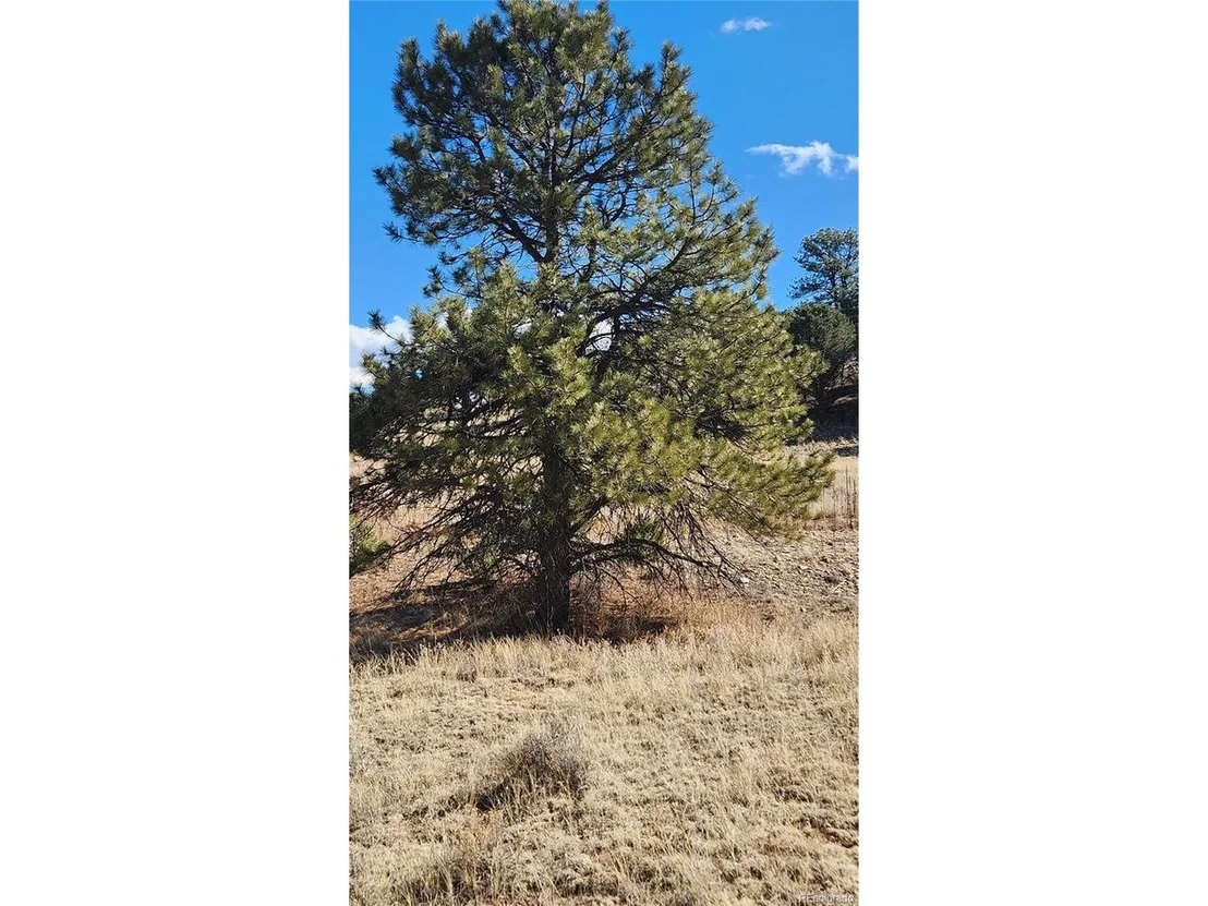 Photo of 311 Kit Carson Trl
