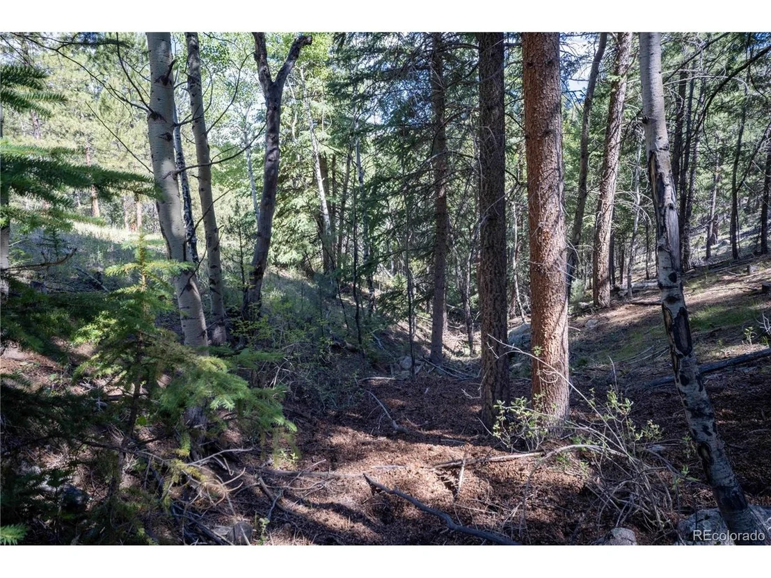 Photo of 14850 Quandary Peak Rd