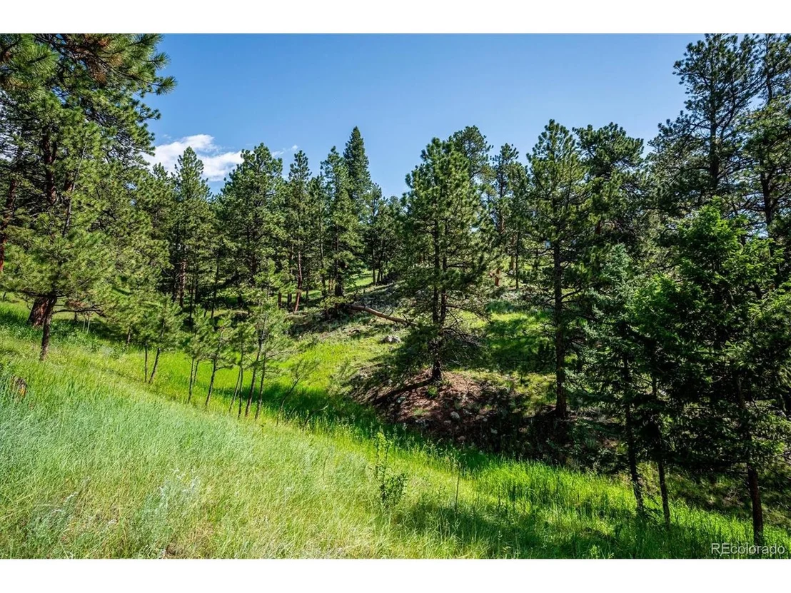 Photo of 155 Bear Dr