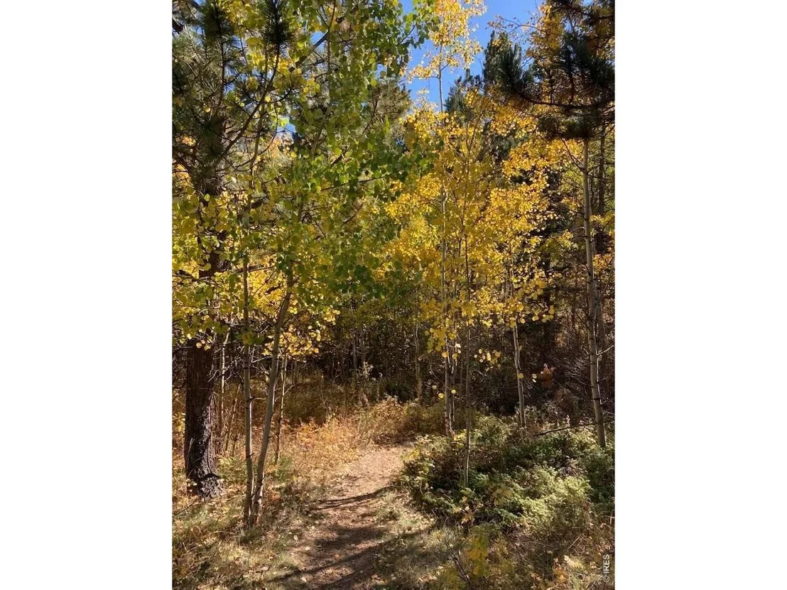 Photo of 32048 Highway 72
