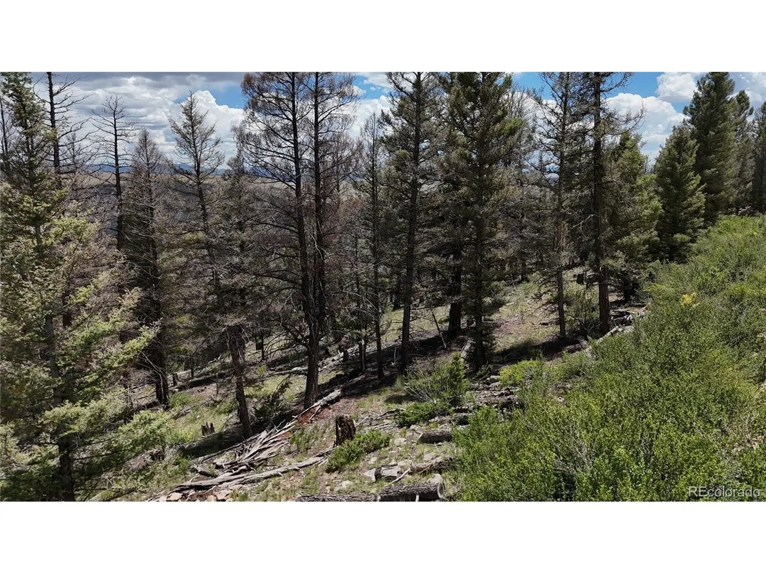 Photo of 1396 Middle Fork Vis
