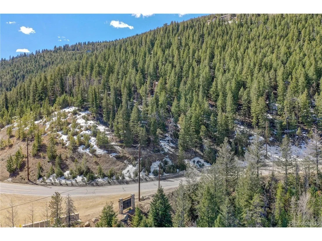 Photo of 0 Saddleback