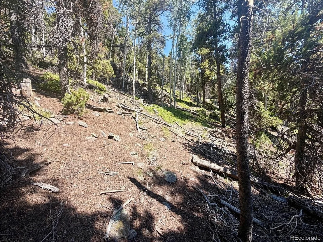 Photo of 0 Lodgepole Cir