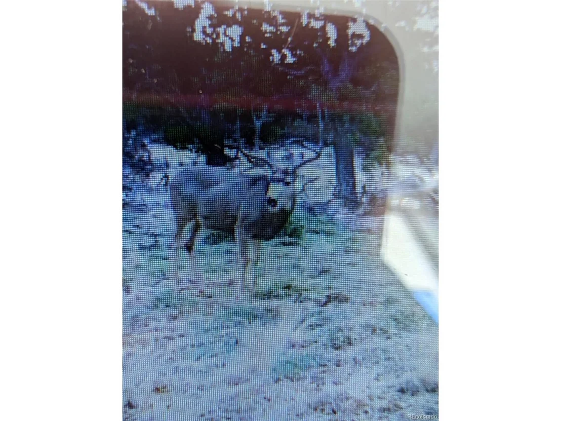 Photo of 2805 County Road 634