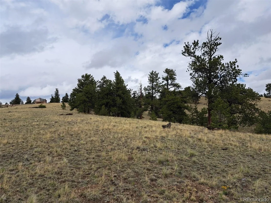 Photo of 783 Remuda