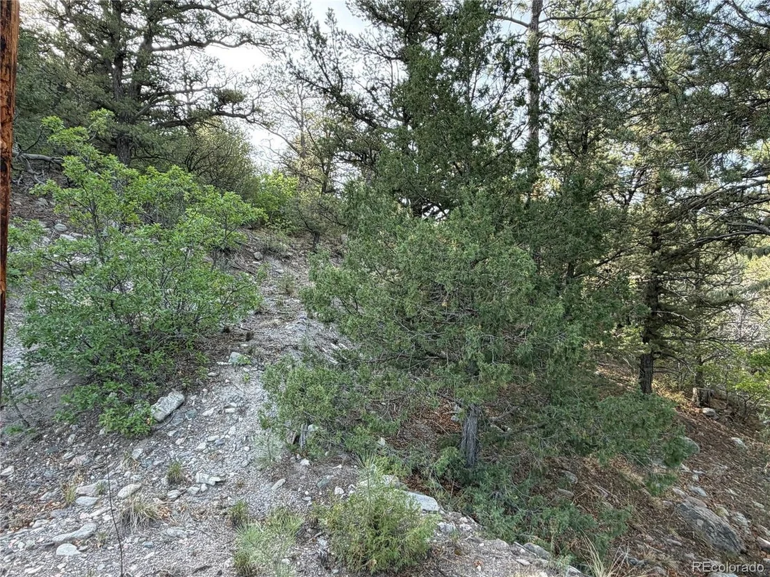 Photo of 594 Maurice Dr