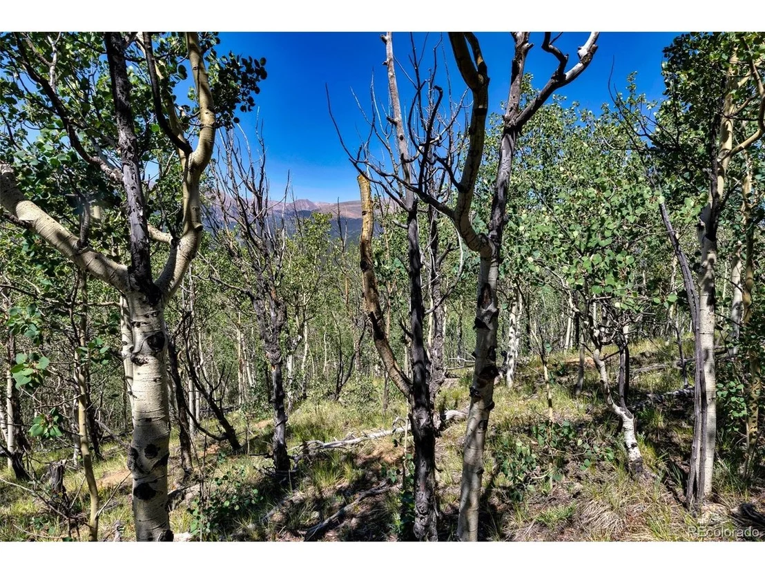 Photo of 497 TEN HIGH Ln