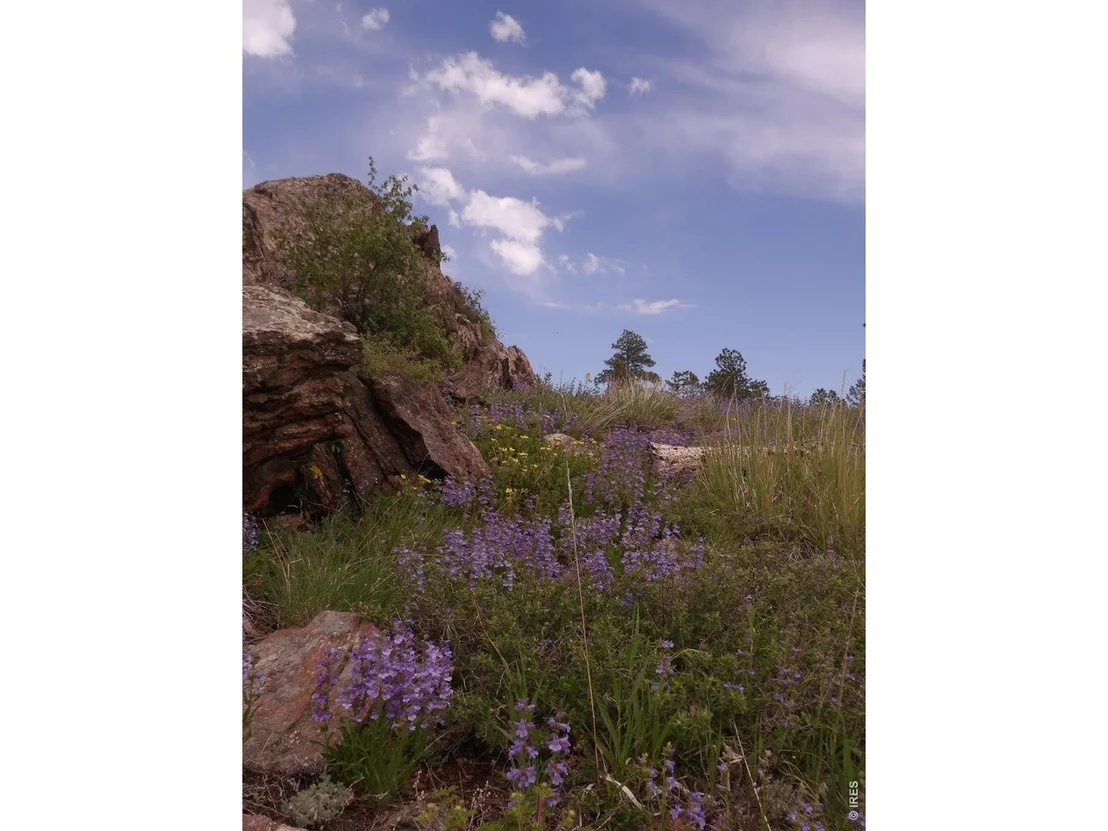 Photo of 3434 Davis Ranch Rd