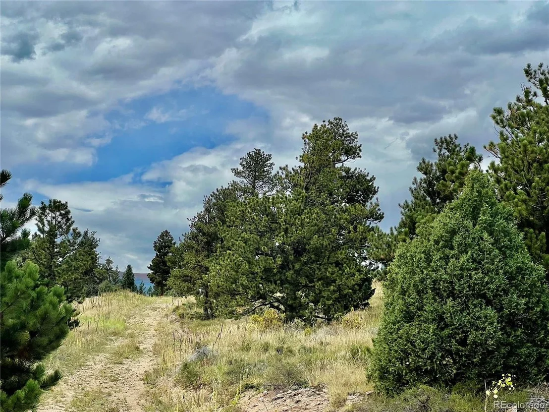 Photo of 2171 Cold Springs Rd