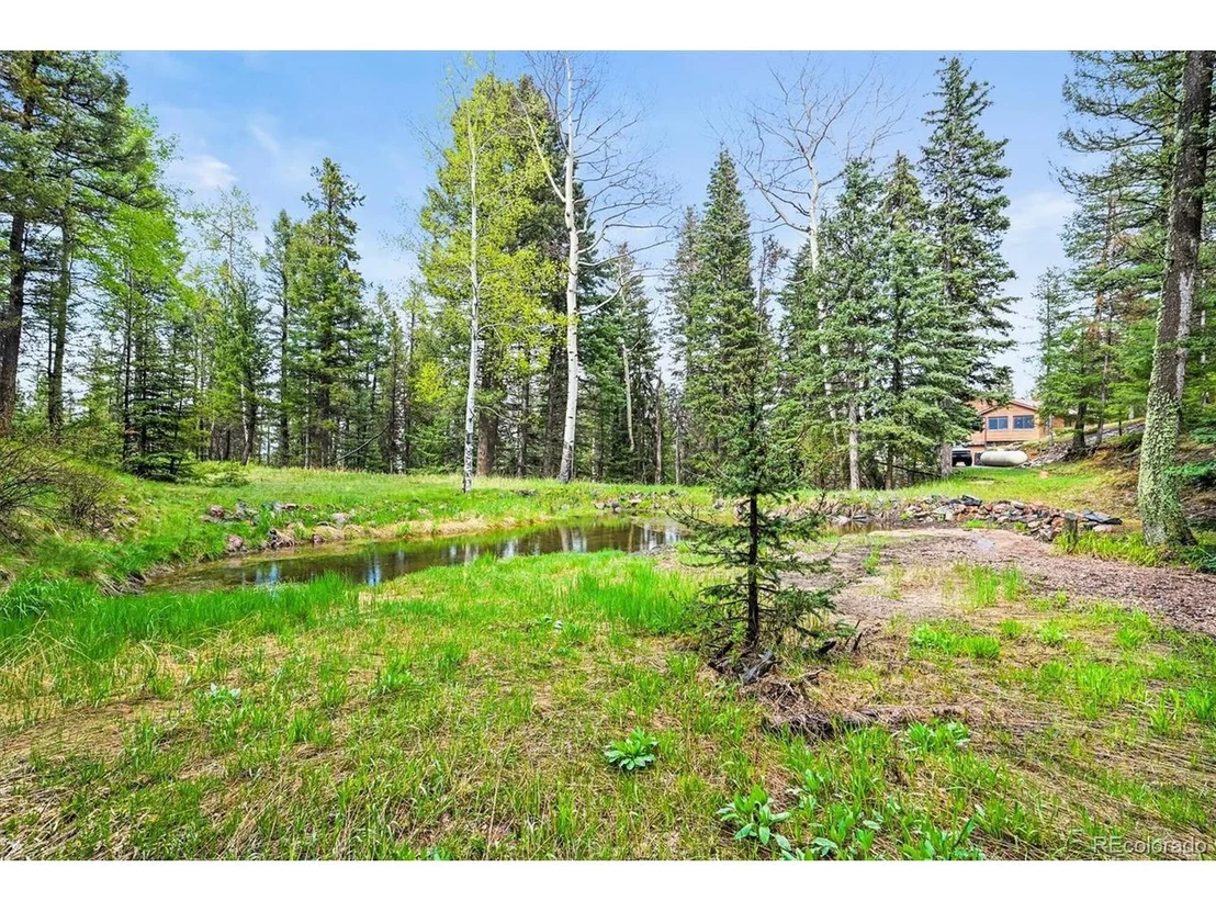 Photo of 29825 Kennedy Gulch Rd