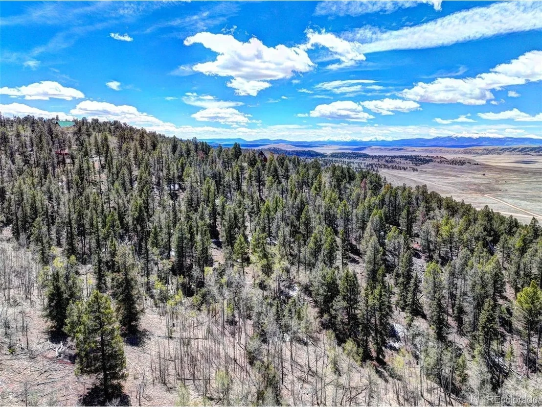 Photo of 194 Bufflehead Cir