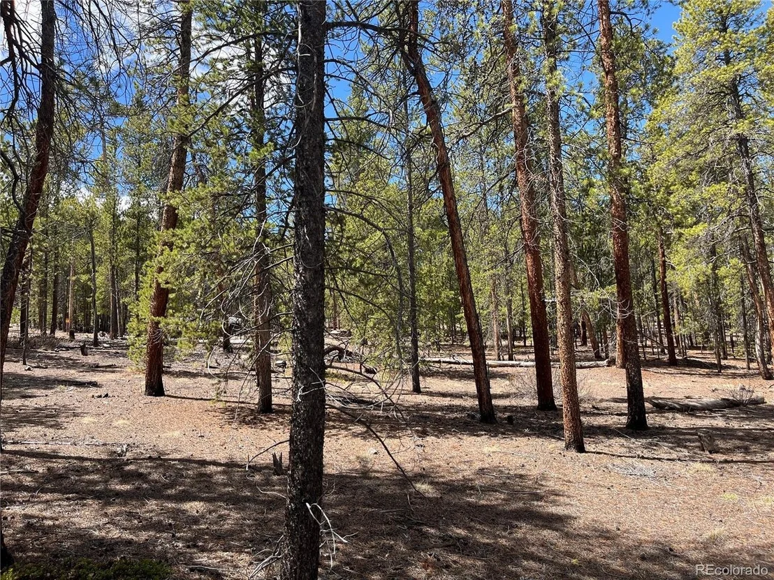 Photo of 1013 Sequoia Dr